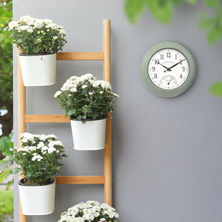 Wooden ladder with potted plants against a gray wall with a clock.